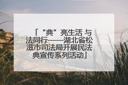 “典”亮生活 与法同行——湖北省松滋市司法局开展民法典宣传系列活动